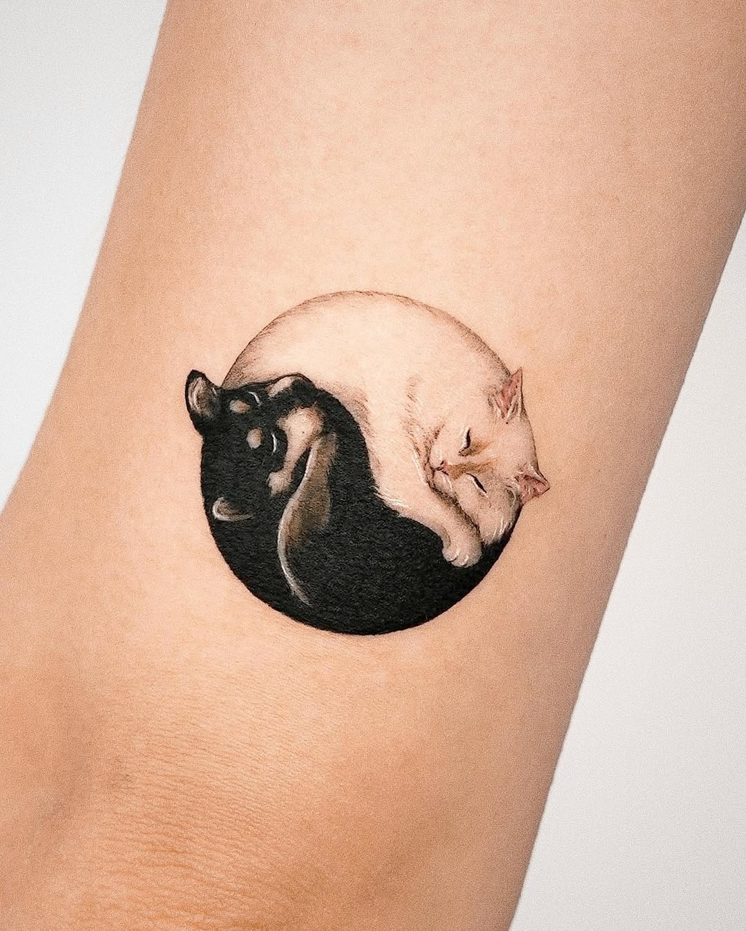 Cats Embrace in Yin Yang Harmony Tattoo Design
