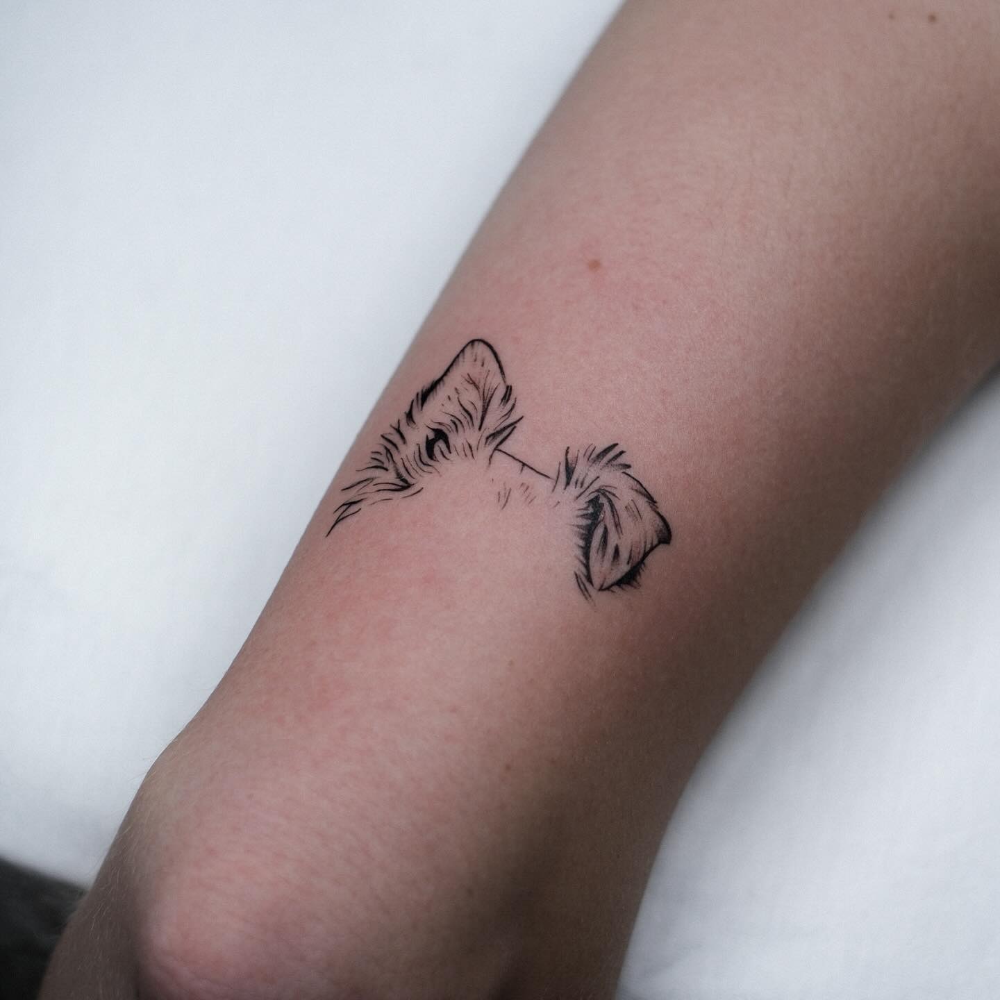 Dog Ear Portrait Tattoo Tattoo Design