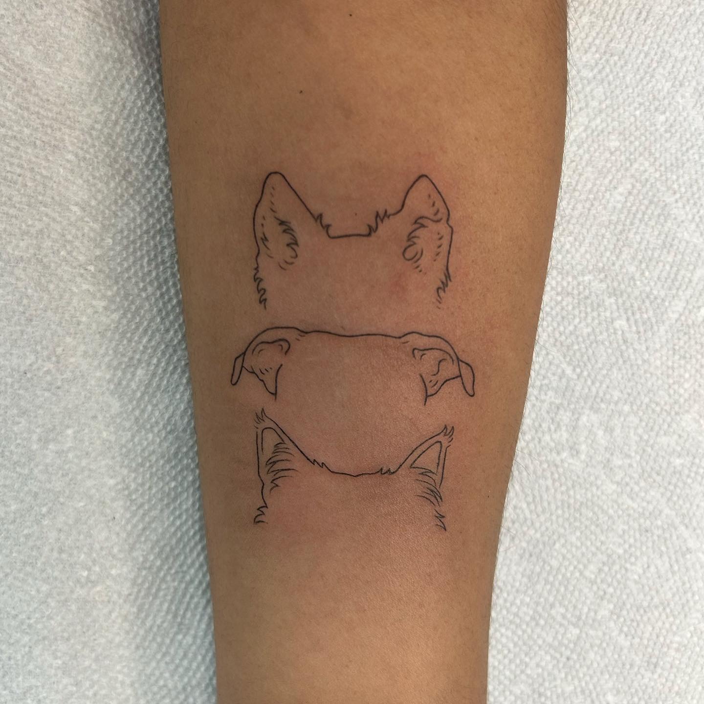Multiple Dog Ear Collection Tattoo Tattoo Design