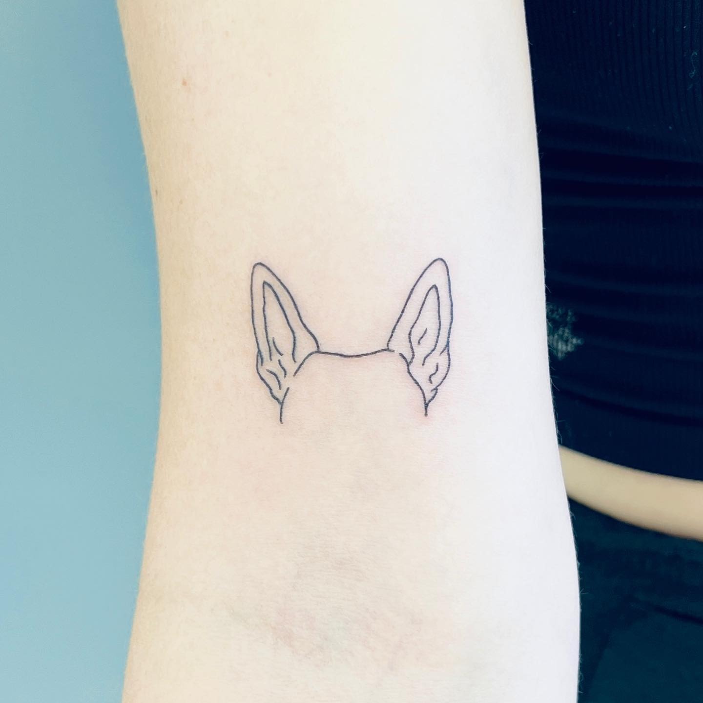 Pointed Dog Ear Outline Tattoo Tattoo Design