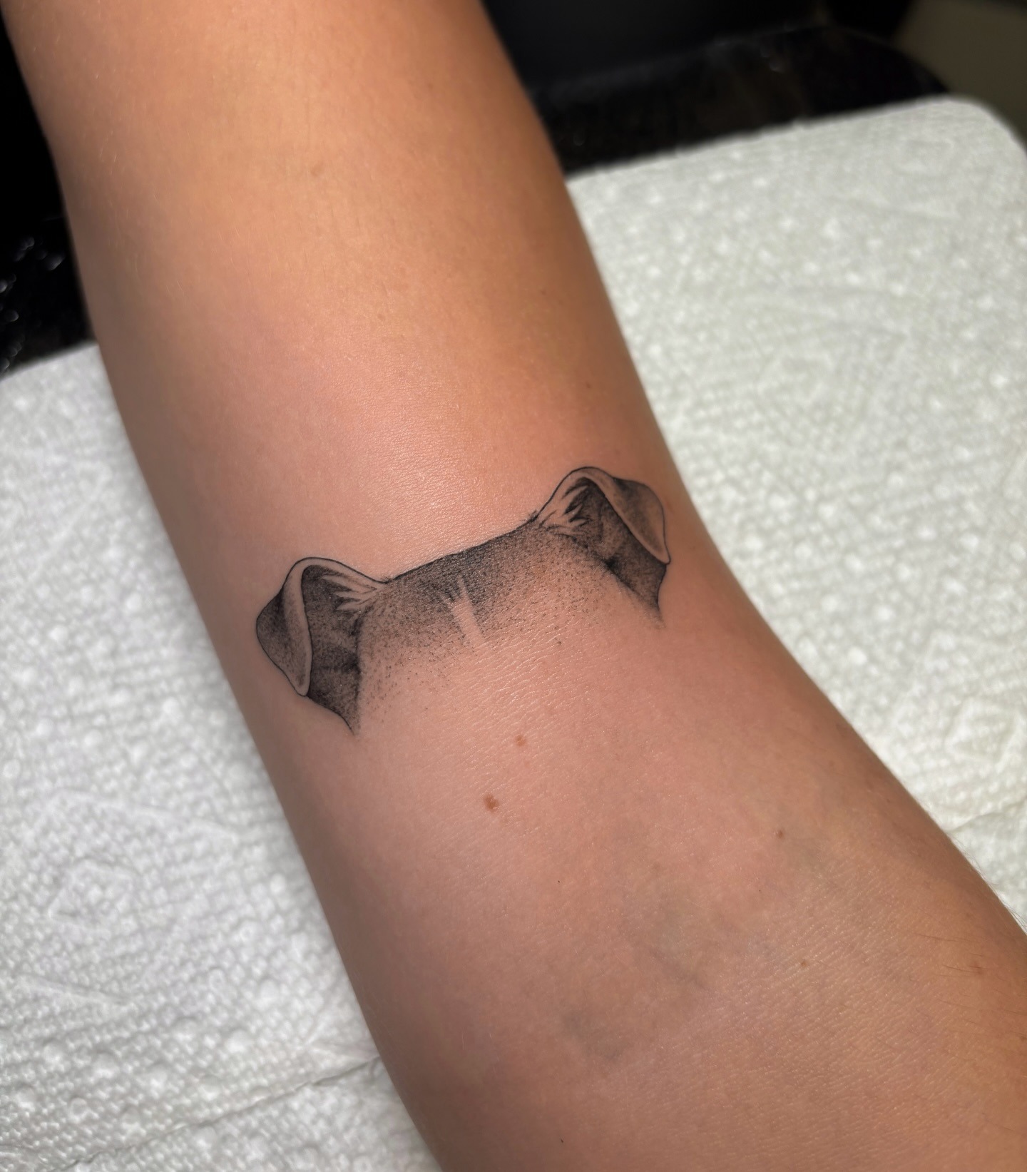 Shaded Dog Ear Tattoo Tattoo Design