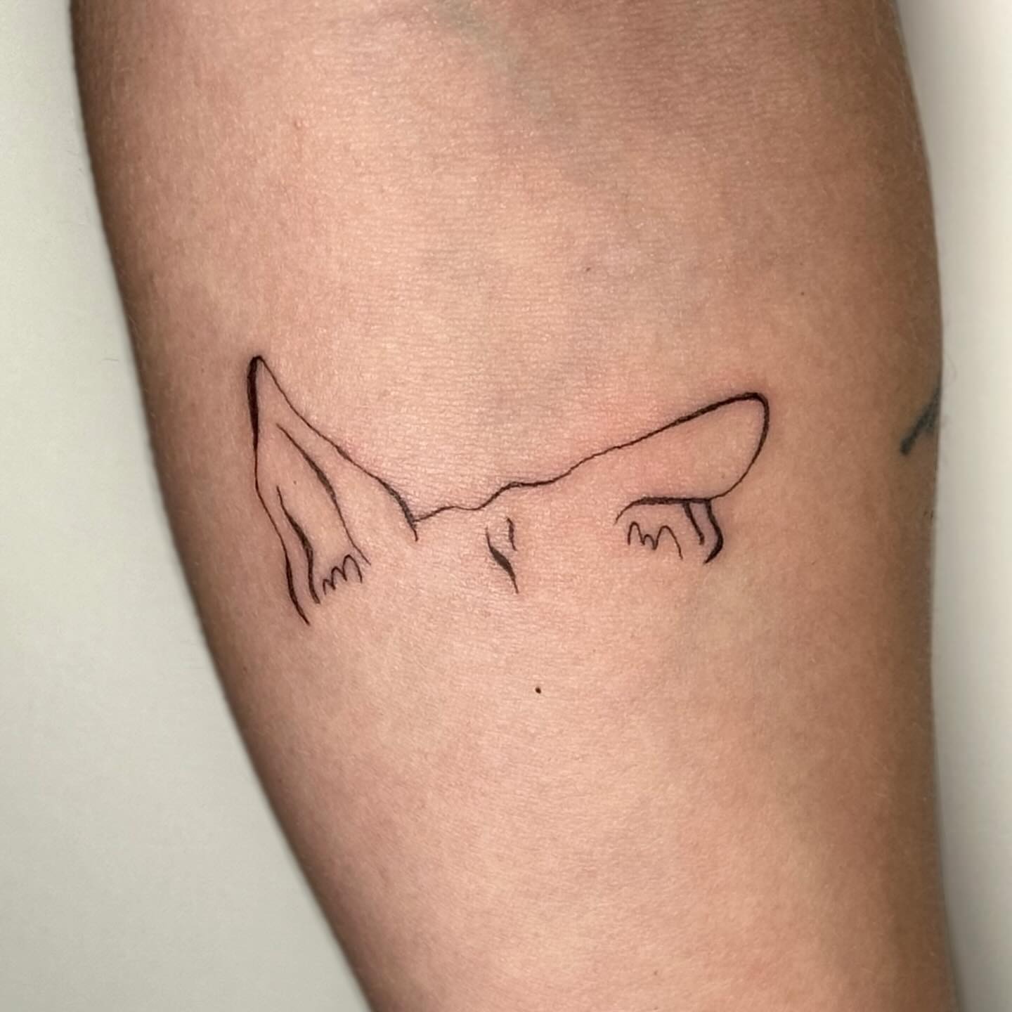 Three Dog Ear Tattoo With Names Tattoo Design