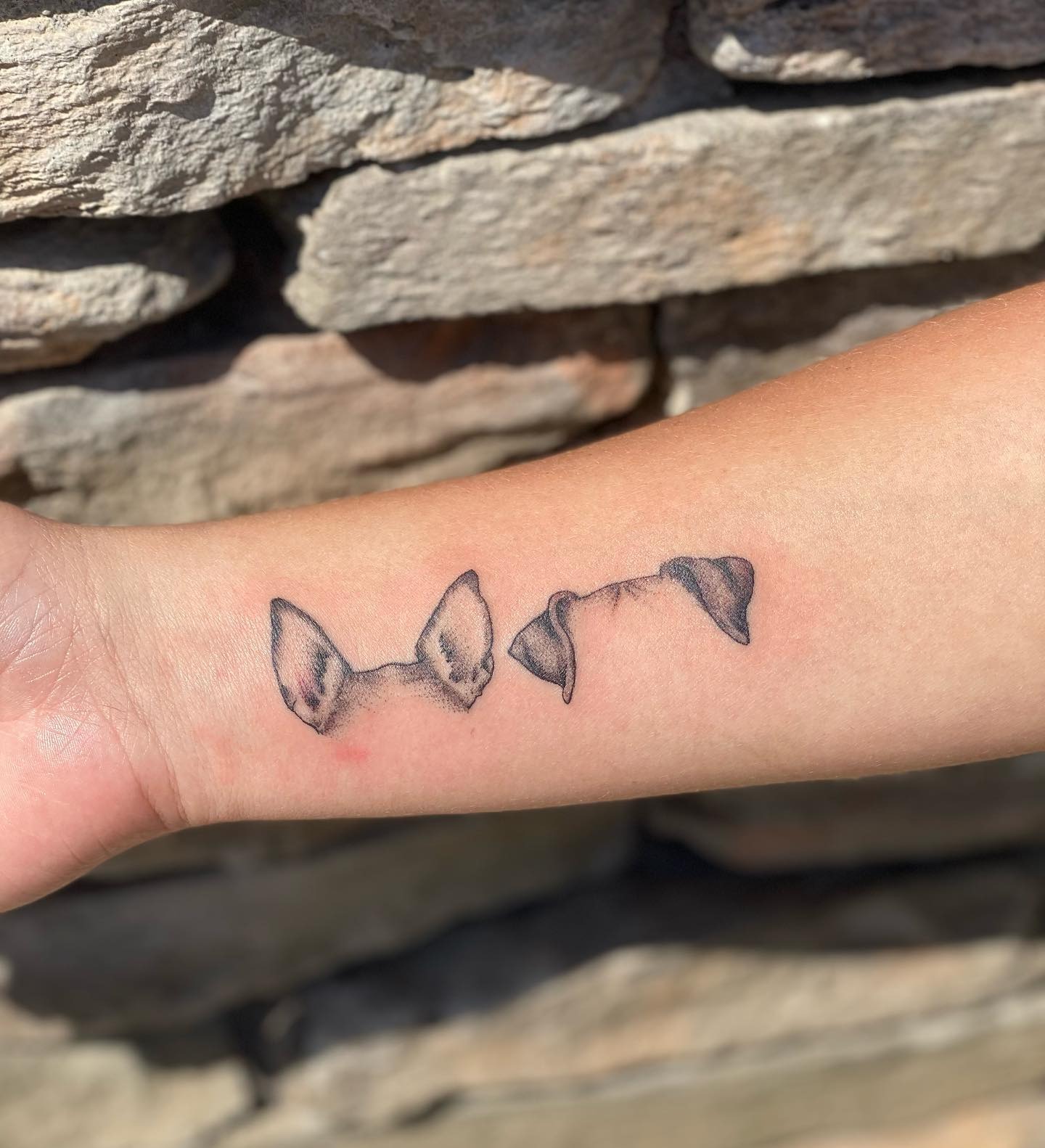 Two Dogs Ear Portrait Tattoo Tattoo Design