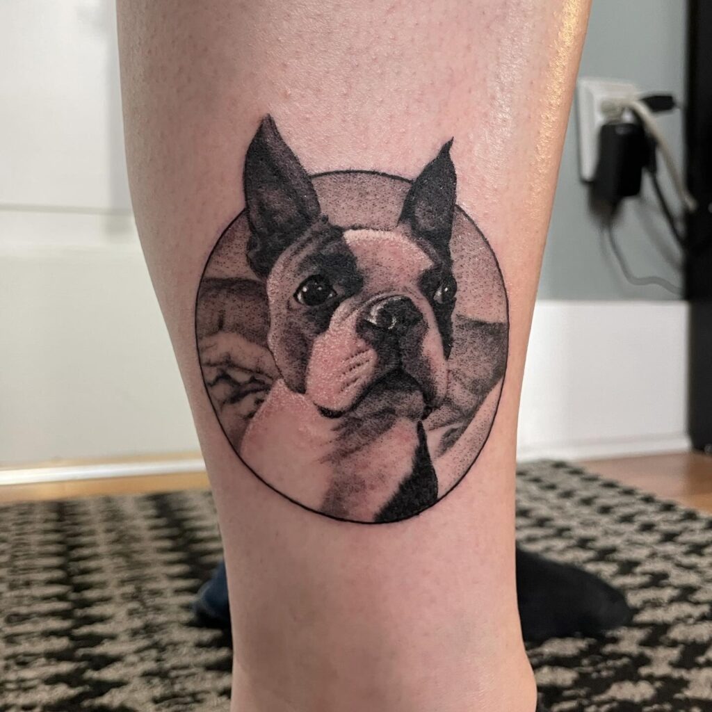 Boston Terrier Portrait with Circular Frame Tattoo Tattoo Design