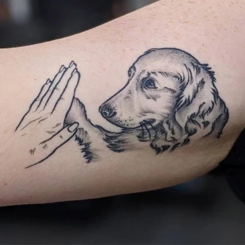 Dog and Human Hand Touching Tattoo Design