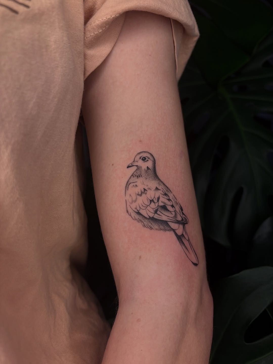Beautiful minimalist dove tattoo on forearm Tattoo Design