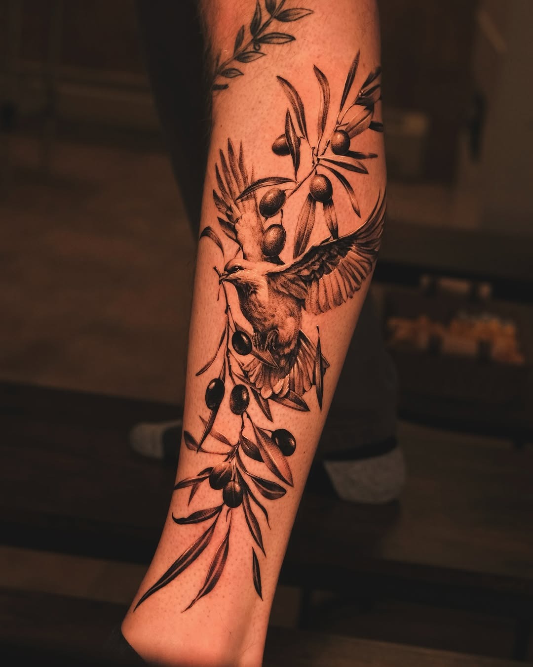 Elegant dove tattoo with olive branches Tattoo Design