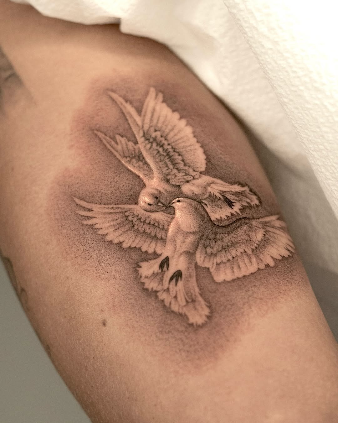Realistic dove tattoo symbolizes love and freedom Tattoo Design