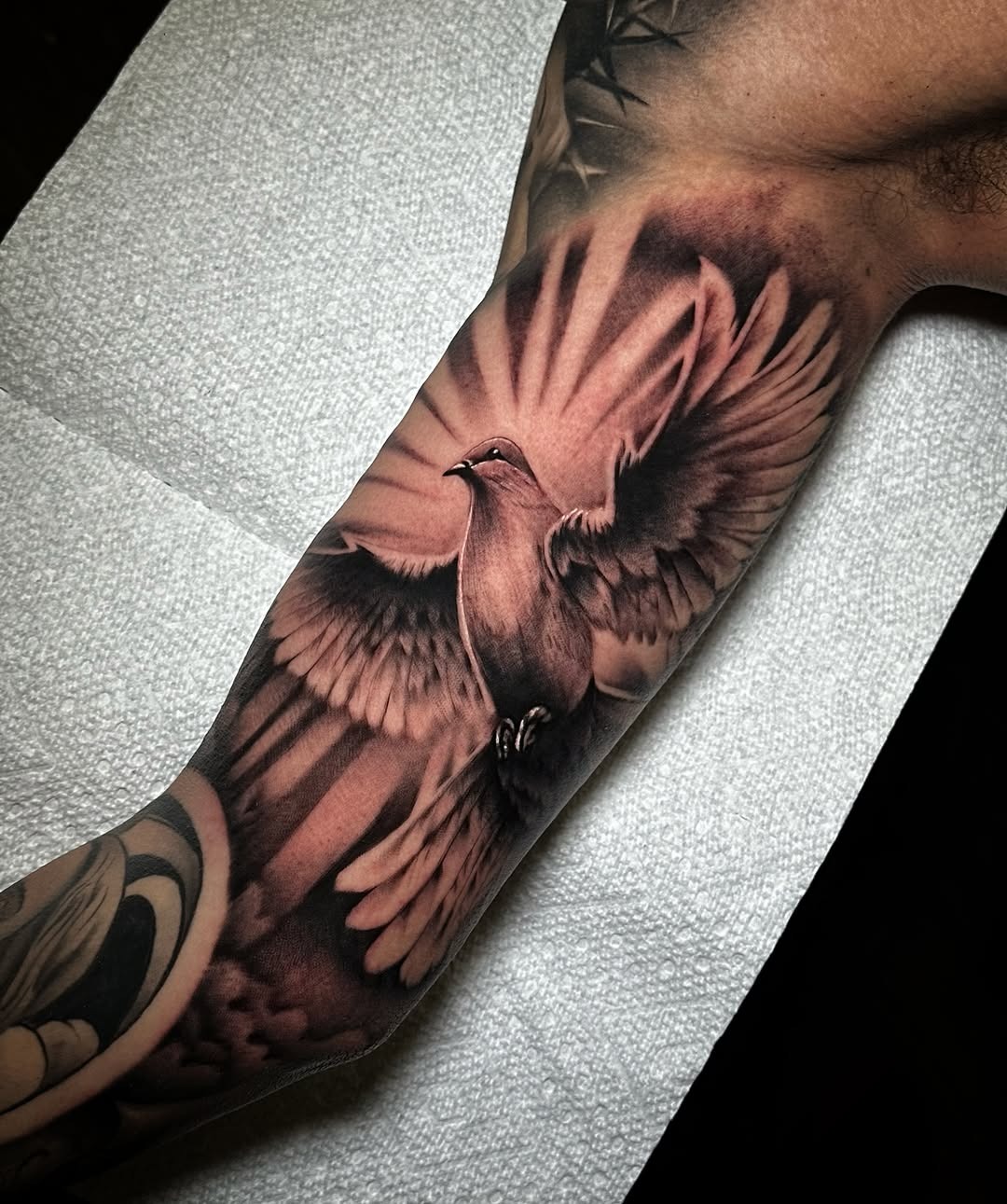 Stunning dove tattoo with dynamic wing details Tattoo Design