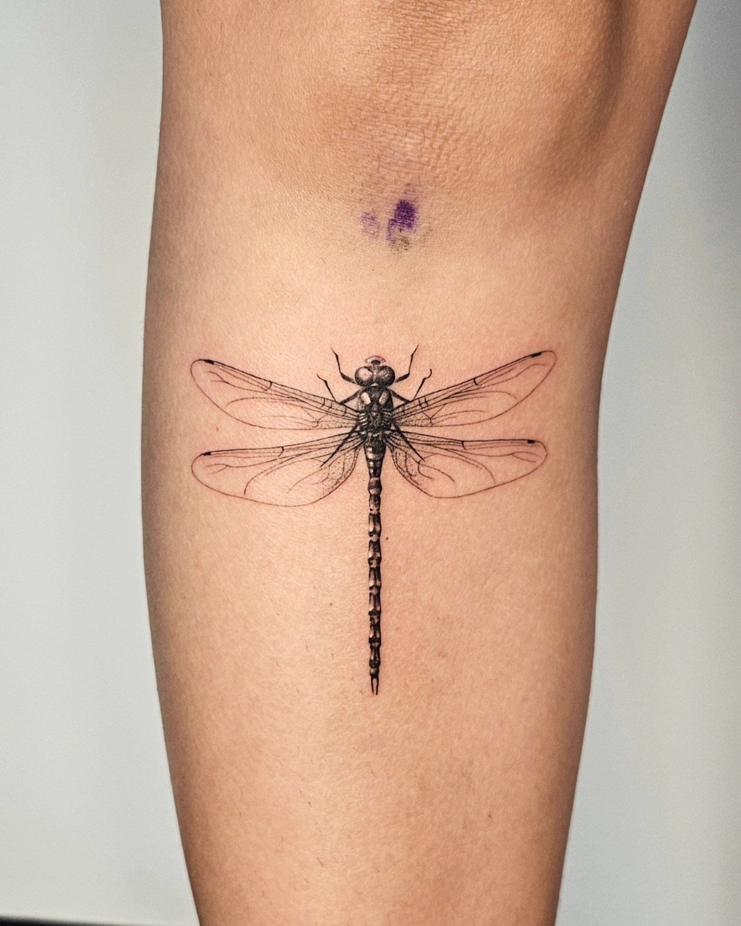 Realistic Fine Line Dragonfly Tattoo Tattoo Design