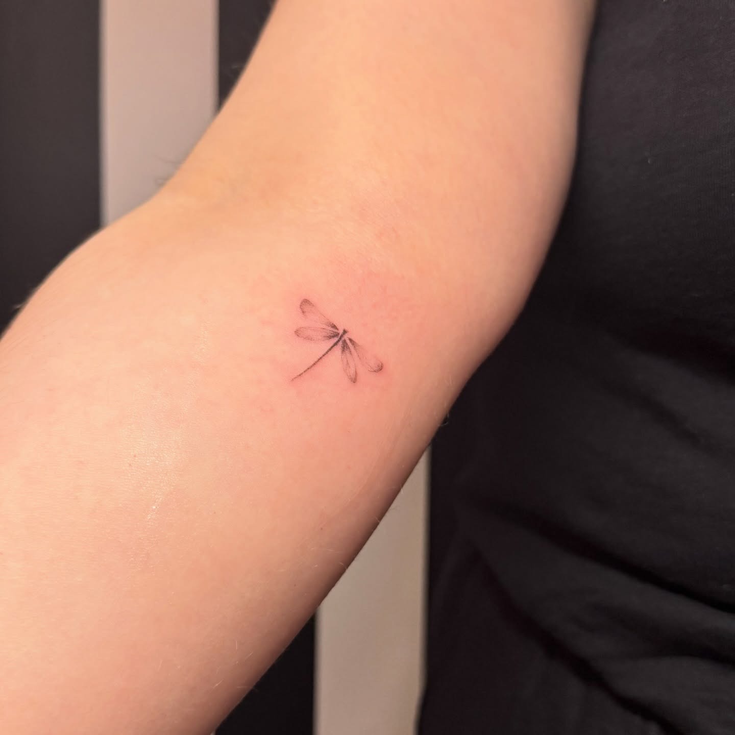 Tiny Minimalist Dragonfly Tattoo Tattoo Design