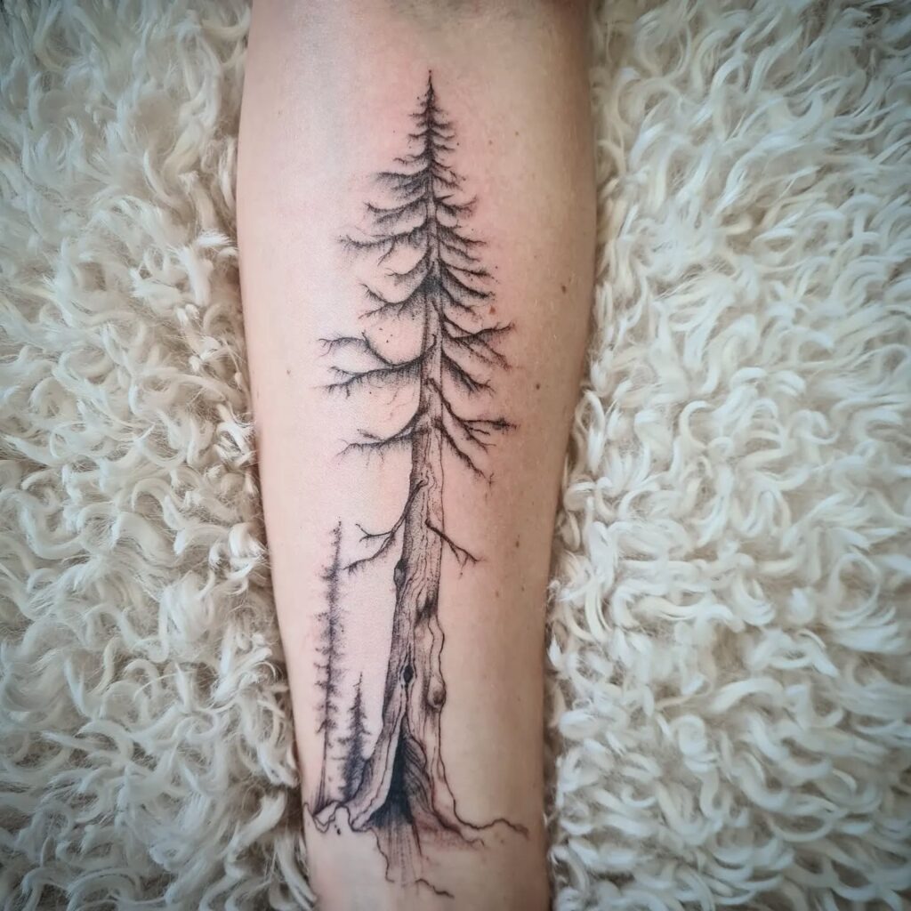 Redwood Giant Tree Tattoo Tattoo Design