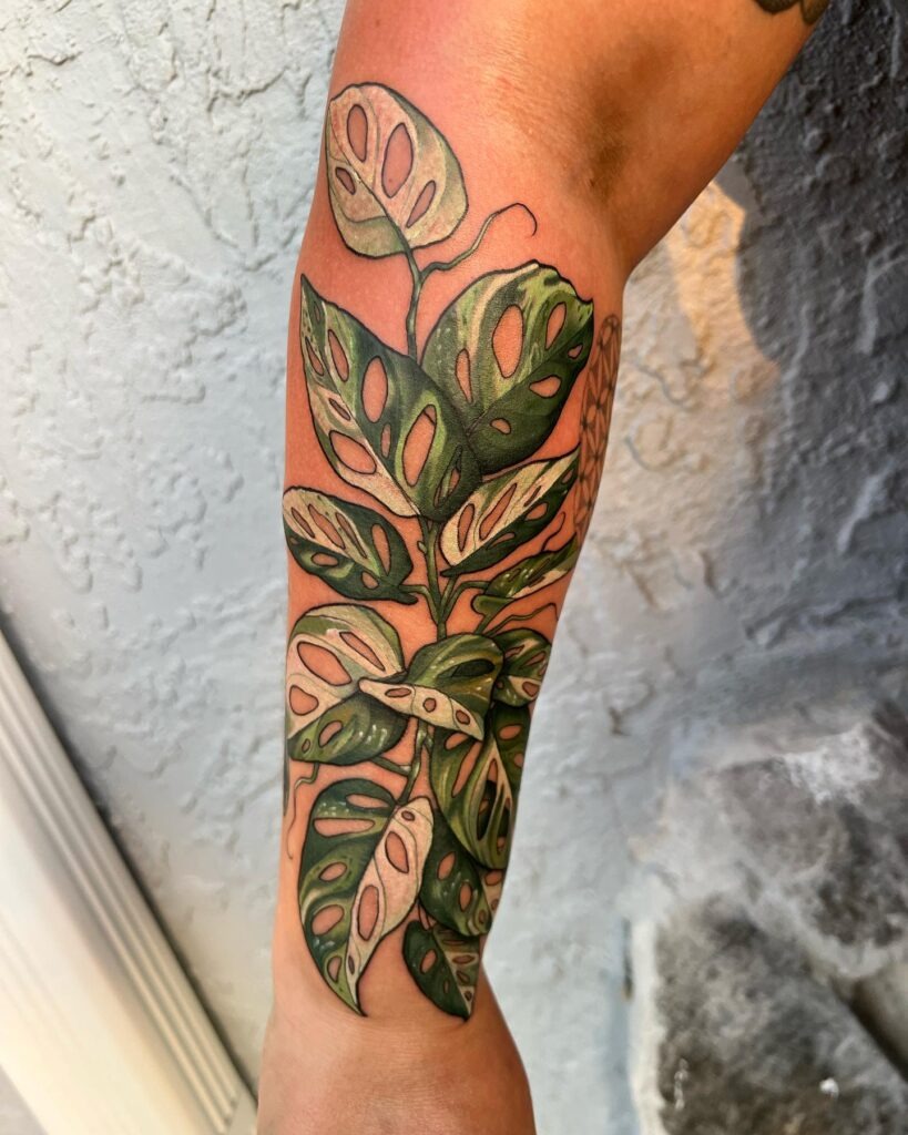 Variegated Monstera Adansonii Tattoo Tattoo Design