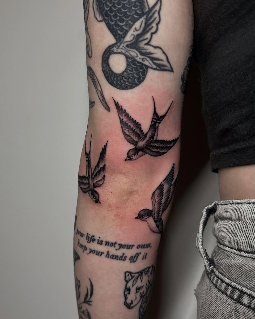 Elegant Swallow Designs Enhance Elbow Tattoos Tattoo Design