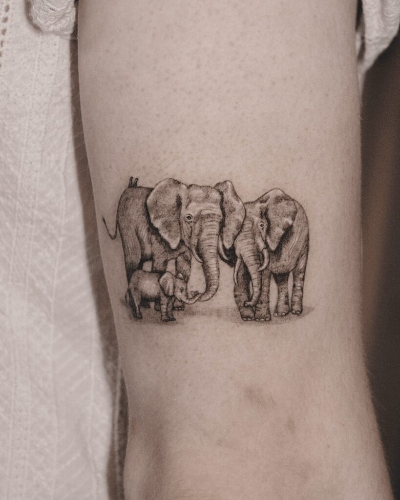 Realistic Elephant Trio Tattoo Tattoo Design