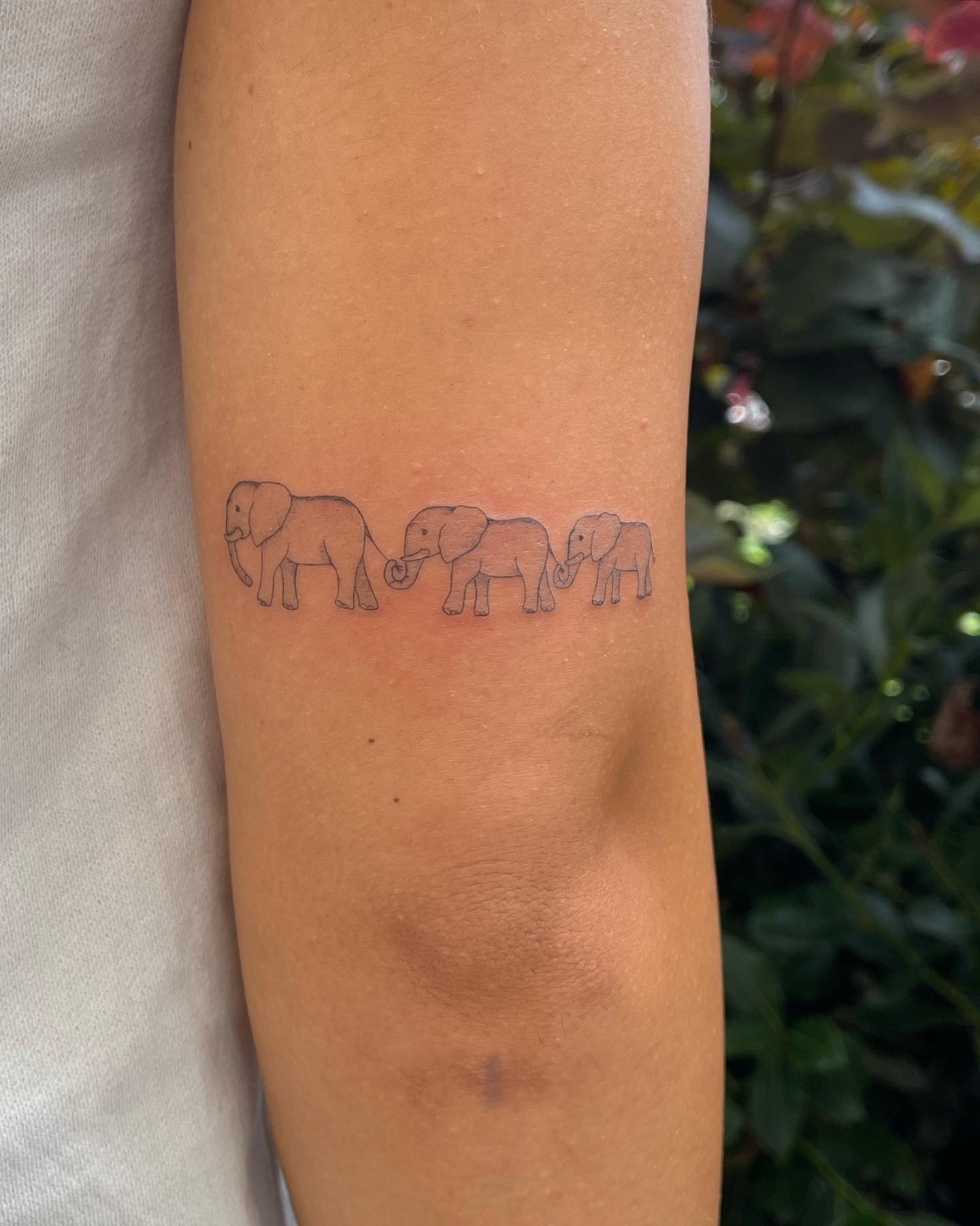 Trio Elephant Family Tattoo Tattoo Design