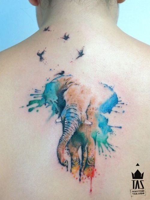 Watercolor Elephant Tattoo Tattoo Design