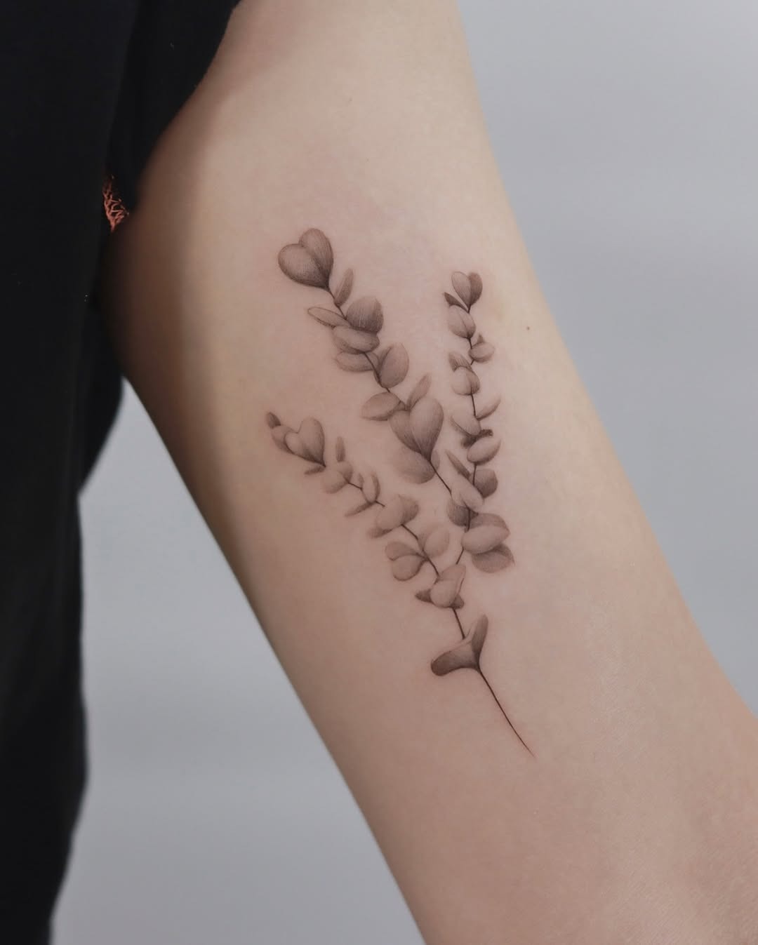 Elegant eucalyptus inked in minimalistic style Tattoo Design