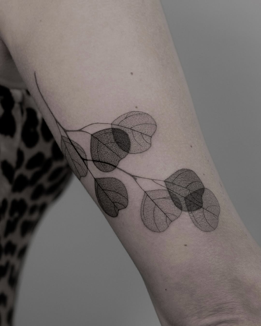Elegant eucalyptus leaves tattoo on forearm Tattoo Design