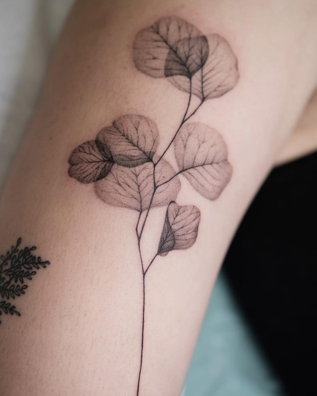 Elegant Eucalyptus Tattoo in Delicate Ink Design Tattoo Design
