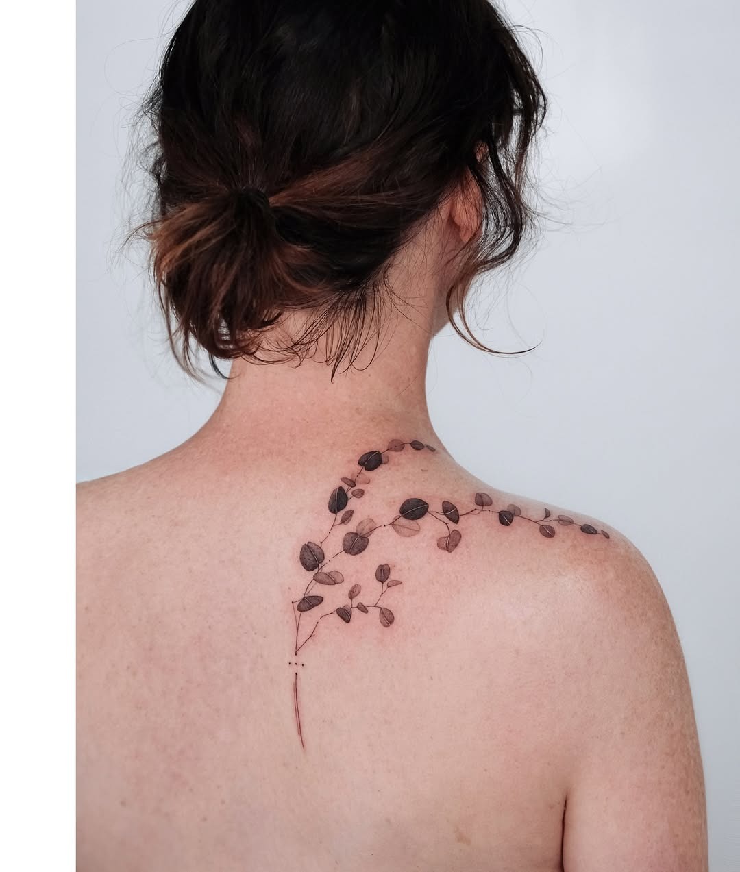 Elegant eucalyptus tattoo on the back shoulder. Tattoo Design