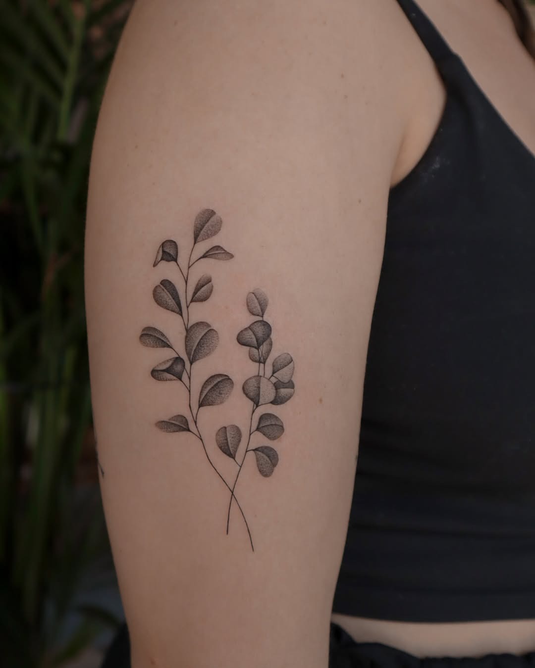 Stunning eucalyptus tattoo with botanical elegance Tattoo Design