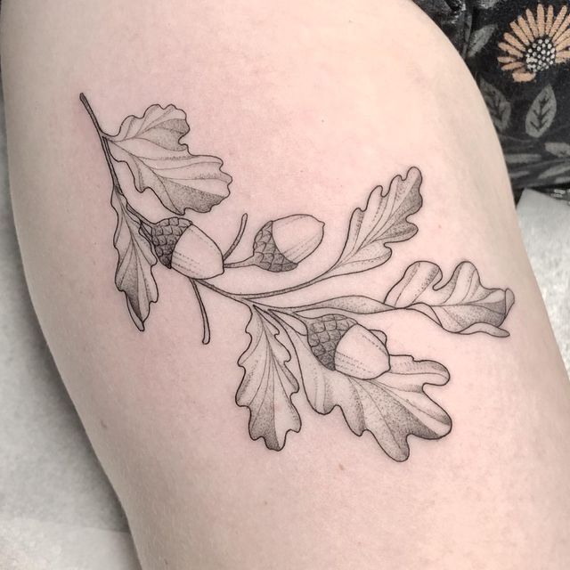Fine Line Acorns and Oak Leaves Tattoo Design