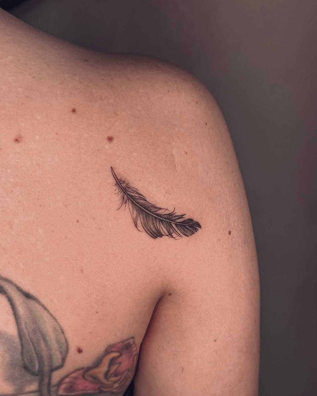 Delicate feather tattoo on shoulder placement Tattoo Design