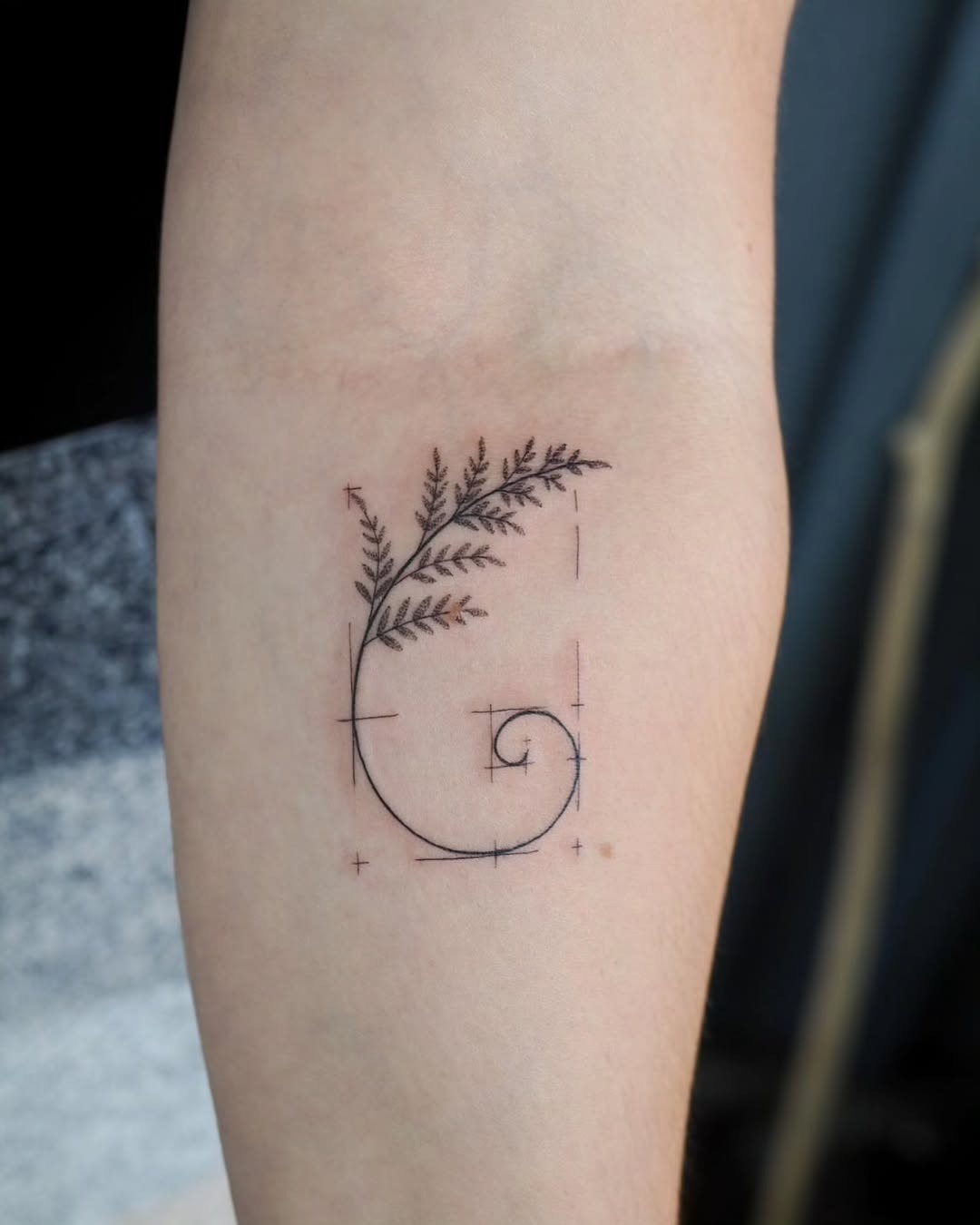 Elegant Fibonacci Fern Tattoo Design Tattoo Design