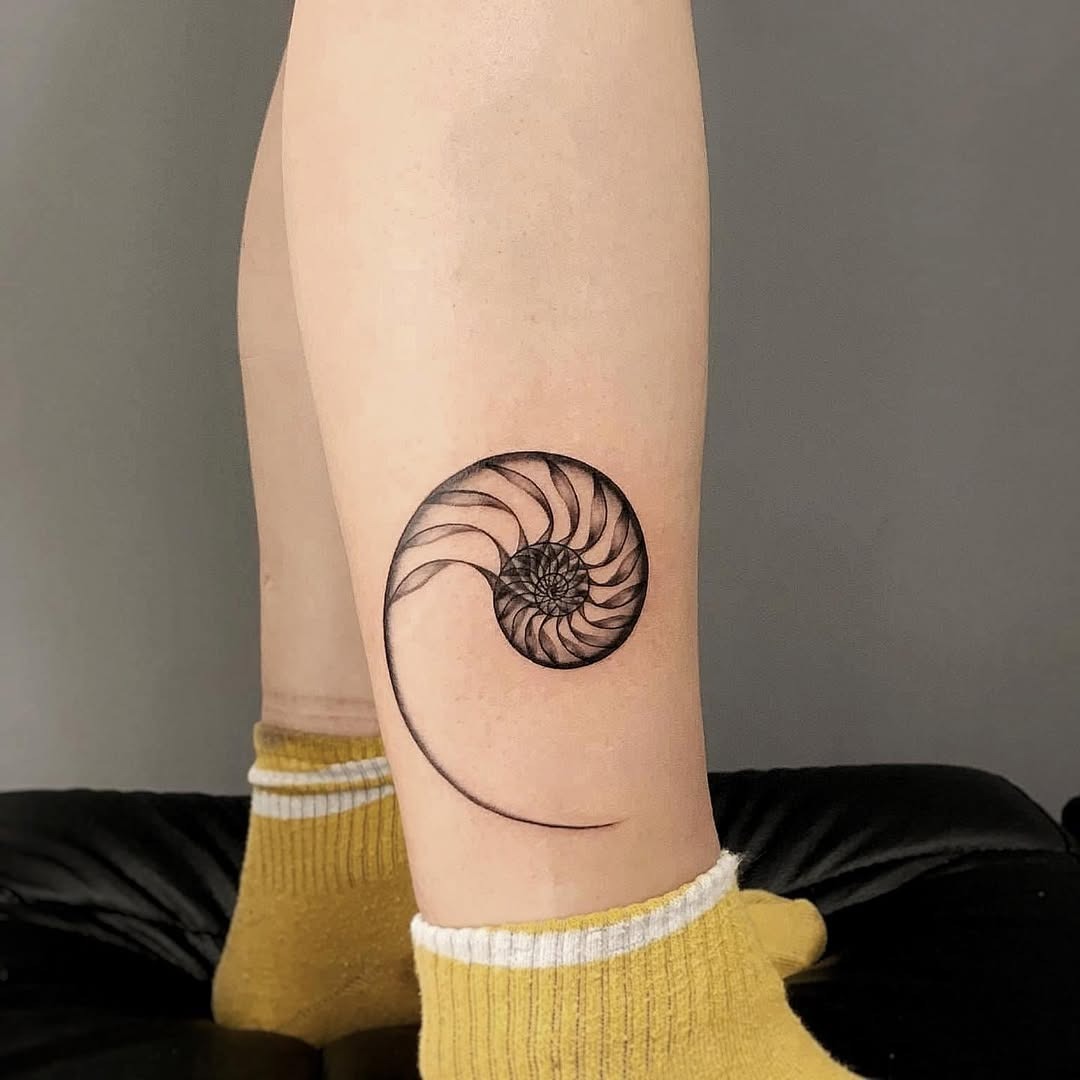 Elegant Fibonacci Spiral Nautilus Shell Tattoo Tattoo Design
