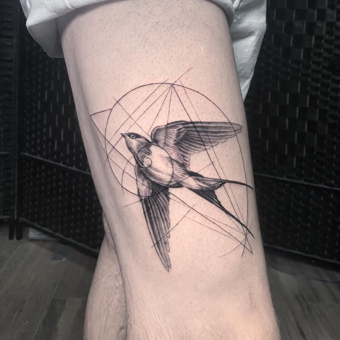 Elegant Fibonacci Swallow Tattoo with Geometric Lines Tattoo Design