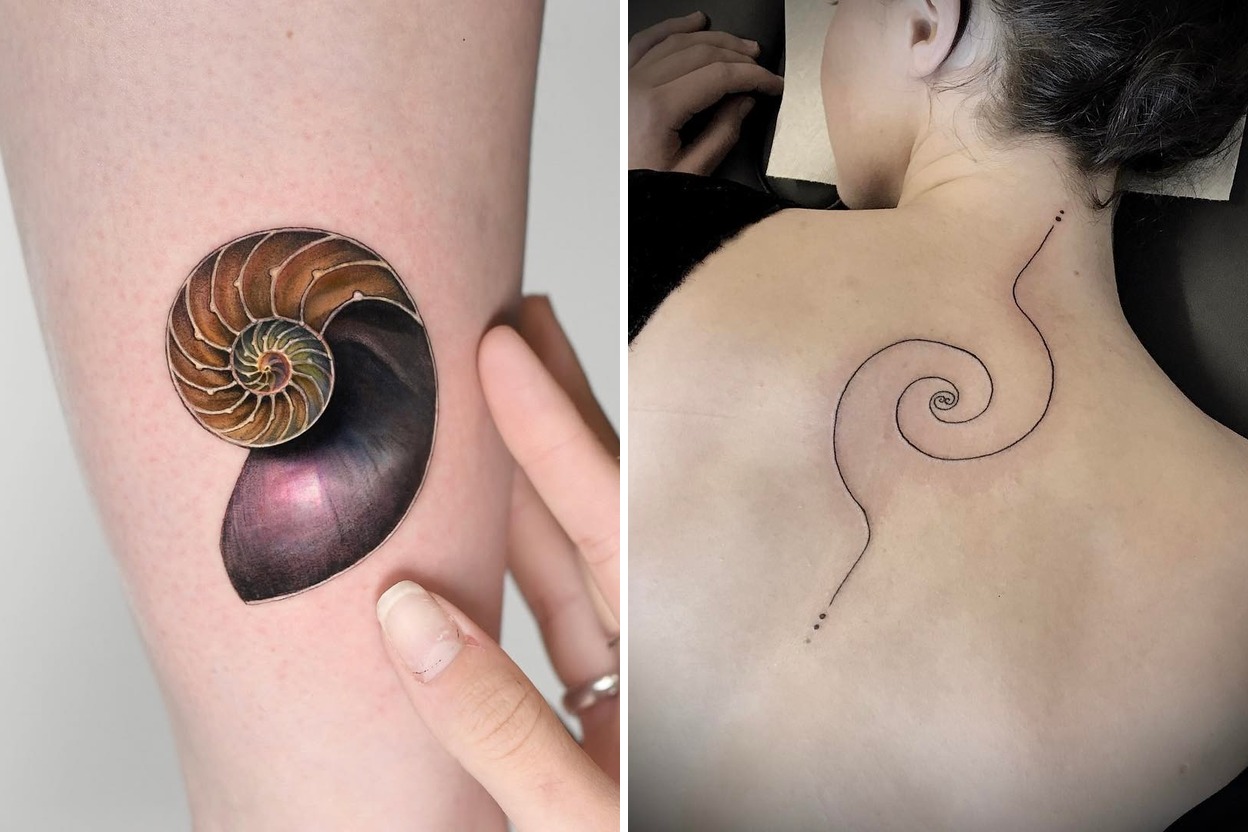 33+ Fibonacci Tattoo Ideas For Timeless and Meaningful Ink Featured Lookbook Collage