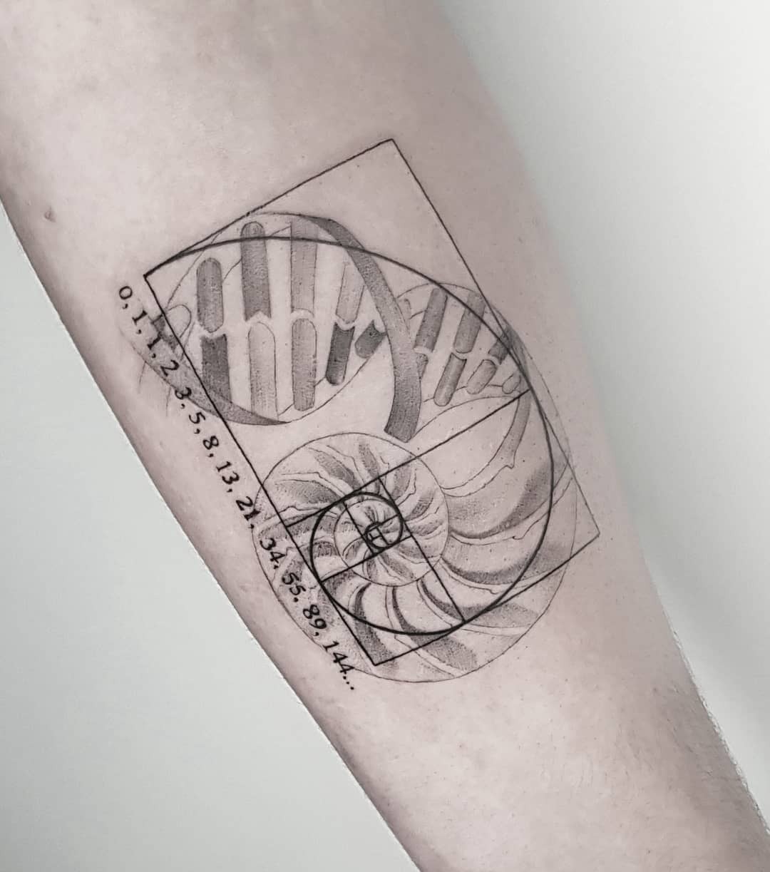 Intricate Fibonacci spiral-themed tattoo design Tattoo Design