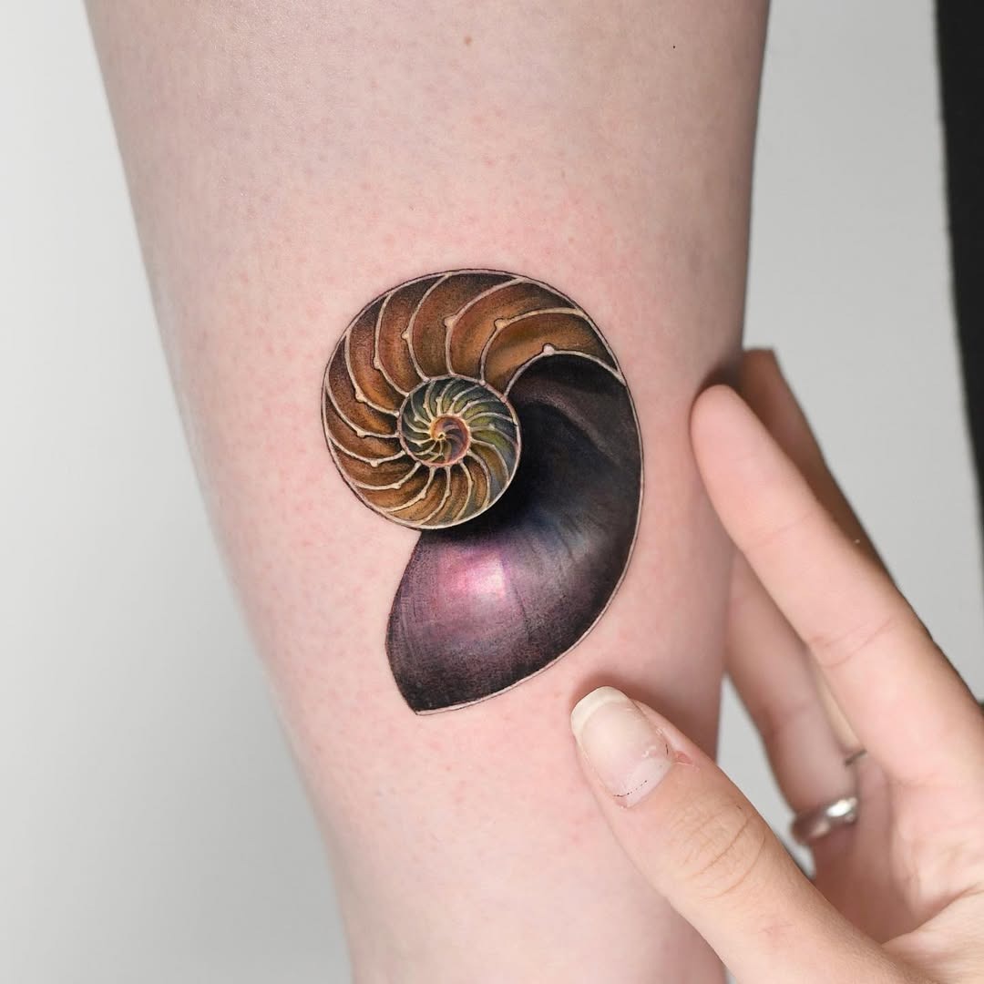 Stunning Fibonacci shell tattoo design on leg Tattoo Design