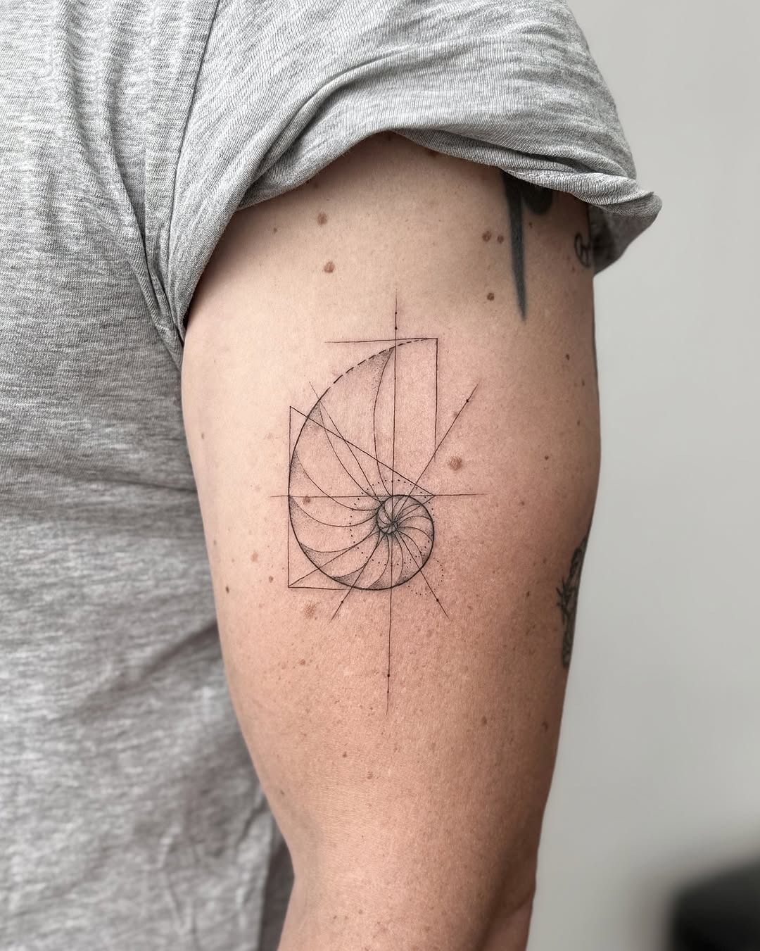 Stunning Fibonacci Spiral on Arm Tattoo Tattoo Design