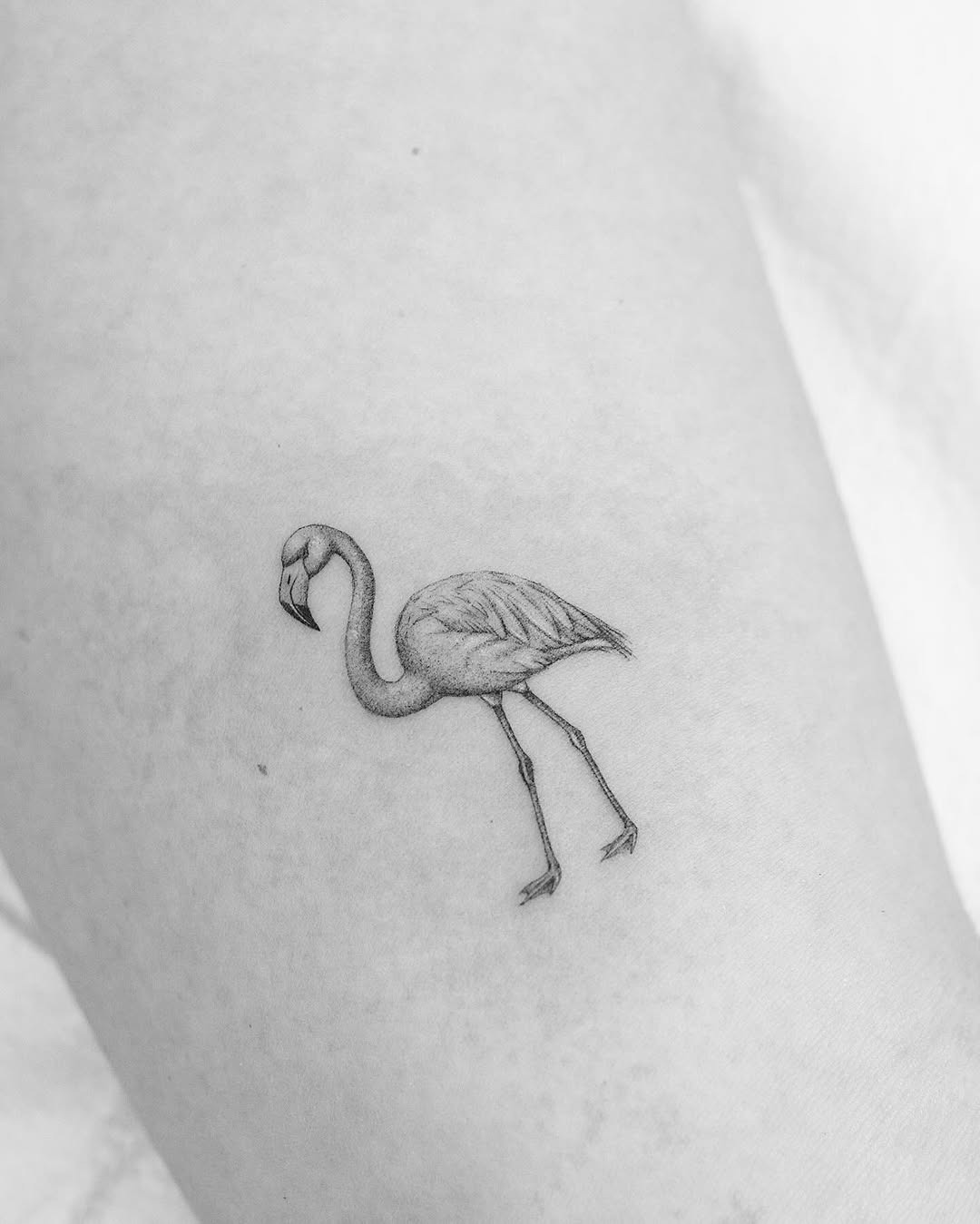 Minimalist flamingo tattoo in detailed black ink Tattoo Design