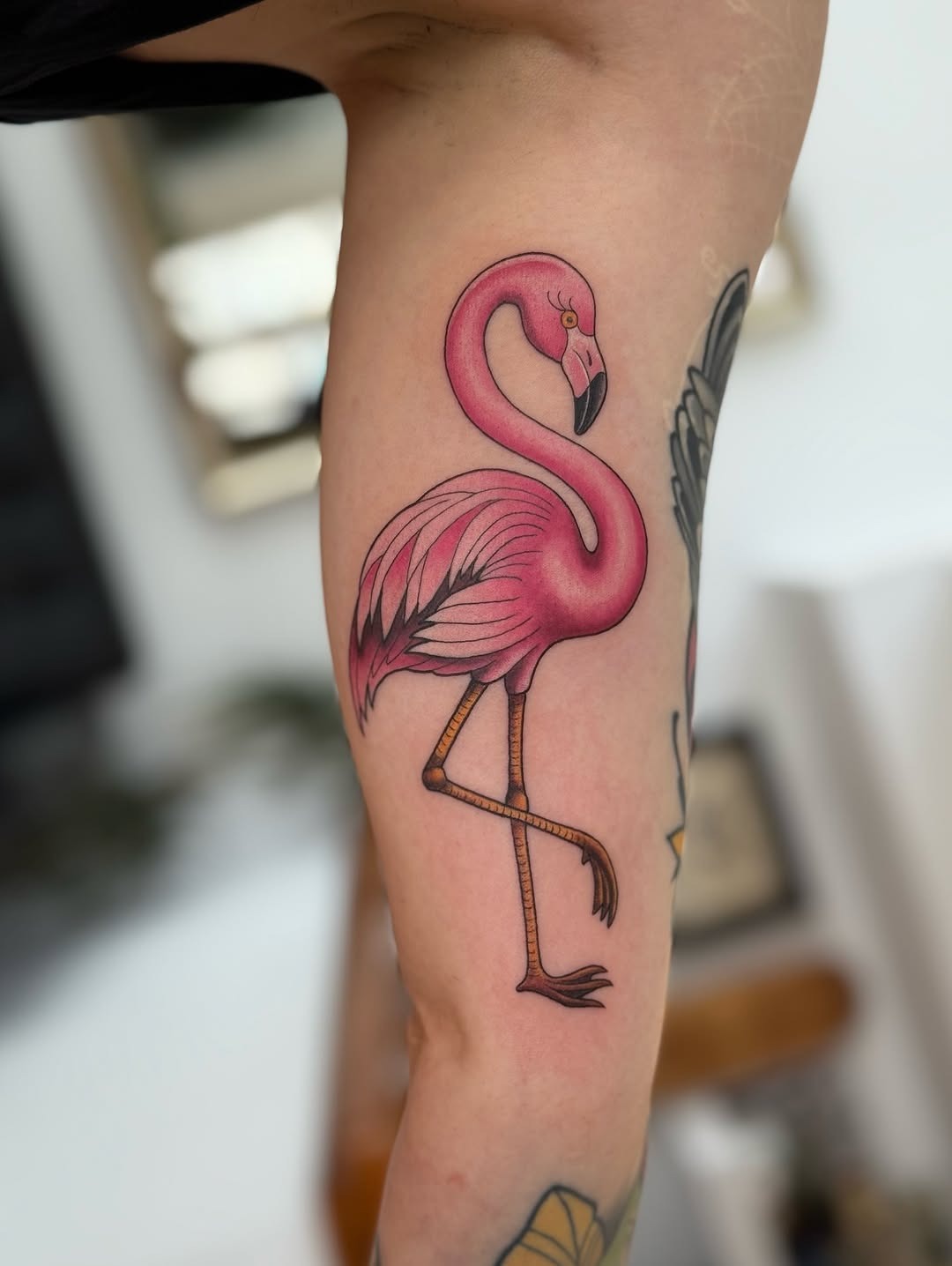 Vibrant Pink Flamingo Tattoo Design Tattoo Design