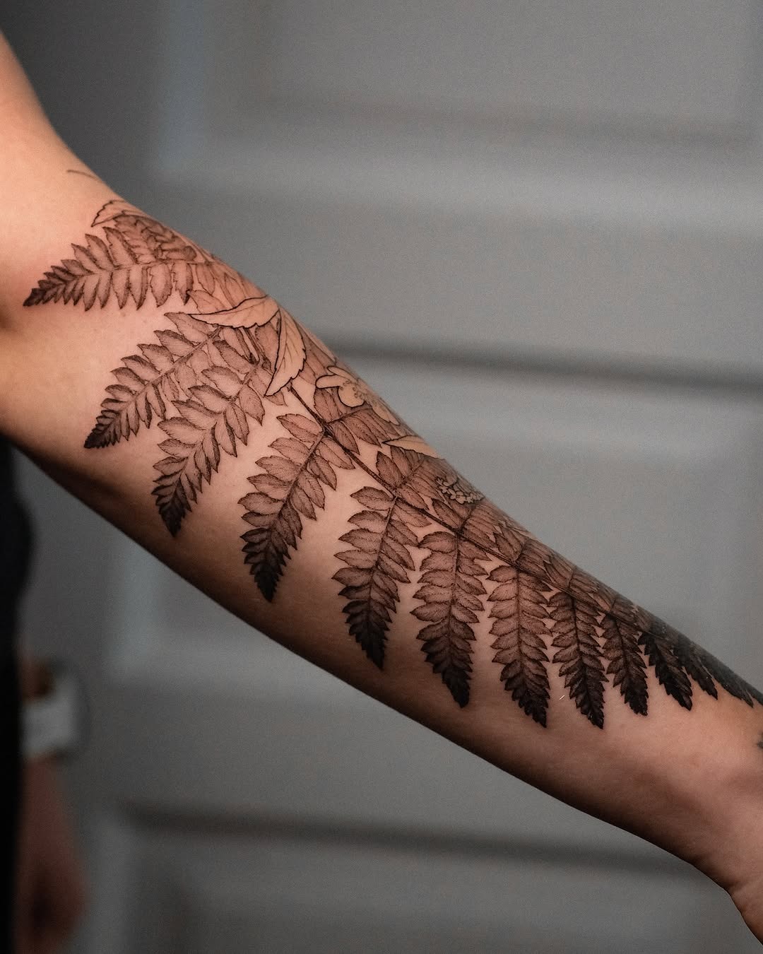 This stunning forearm tattoo showcases detailed fern leaves gracefully cascading down the arm.