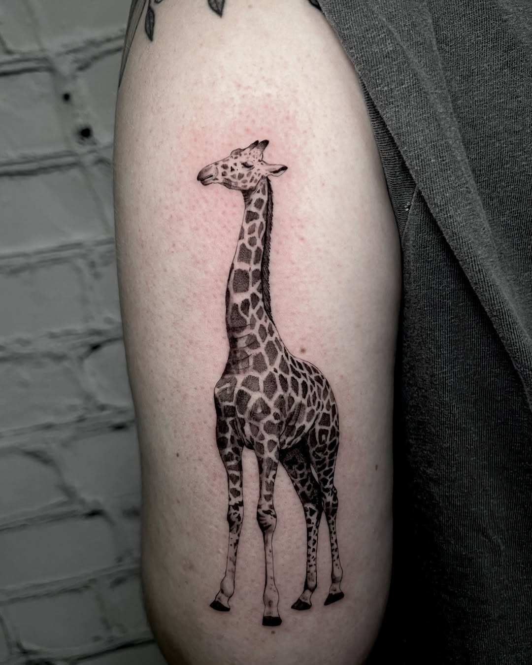 Detailed black and gray giraffe tattoo design Tattoo Design