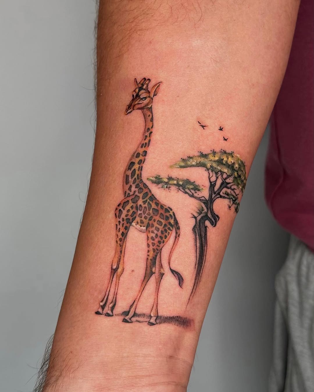 Stunning giraffe tattoo paired with a tree design Tattoo Design