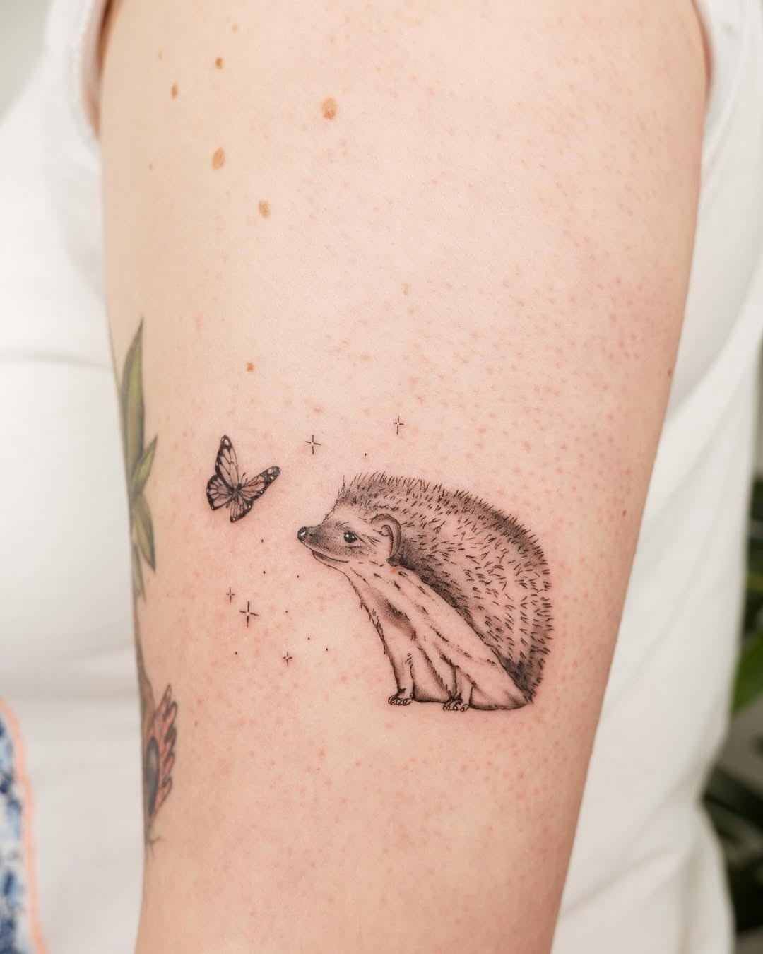 Charming hedgehog with butterfly companion tattoo Tattoo Design