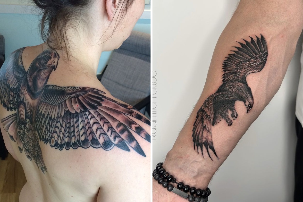 23 Fierce Hawk Tattoo Ideas To Make Your Style Effortless Featured Lookbook Collage