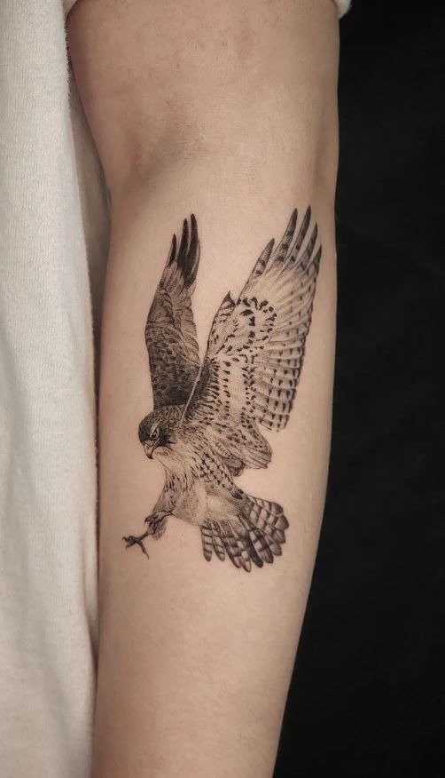 Fine Line Red-Tailed Hawk Landing Tattoo Design