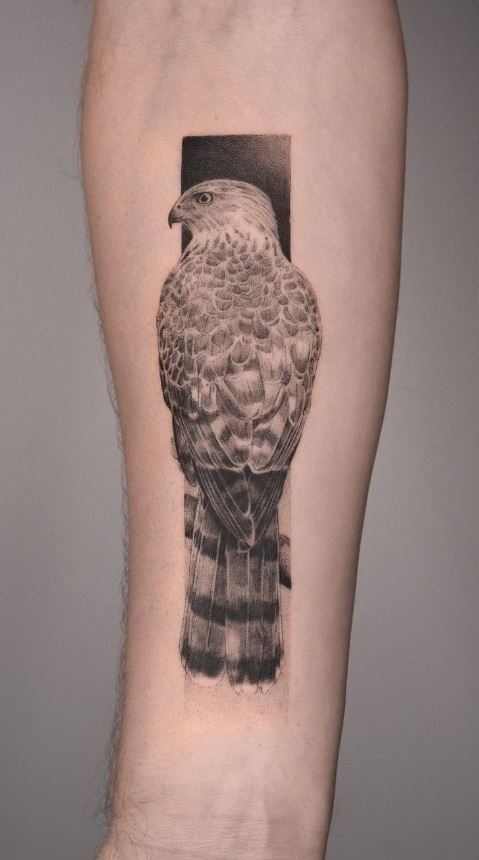 Minimalist Hawk Back View Forearm Panel Tattoo Design