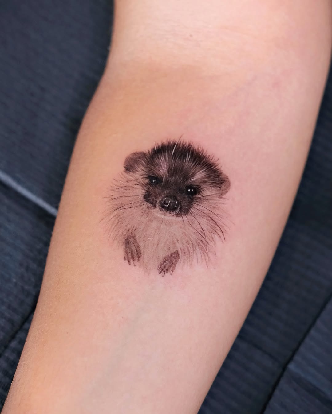 Adorable hedgehog tattoo in realistic style Tattoo Design