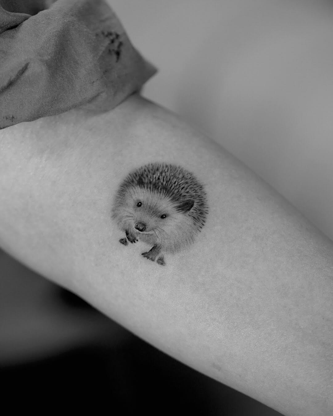 Charming black and white hedgehog tattoo design Tattoo Design