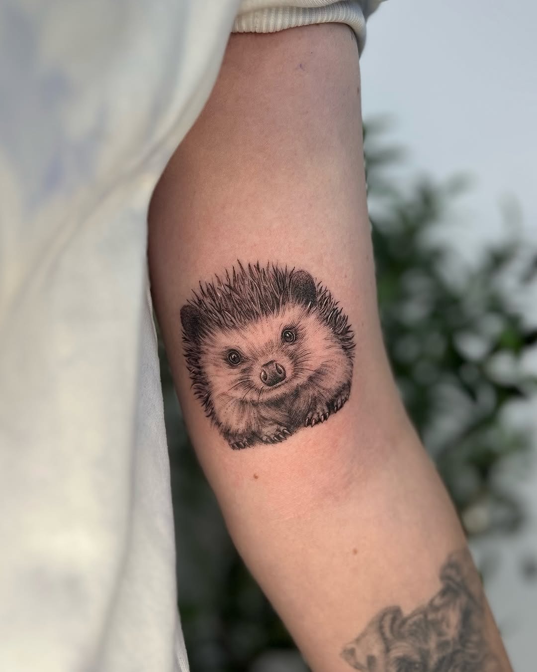Charming hedgehog tattoo capturing playful spirit Tattoo Design