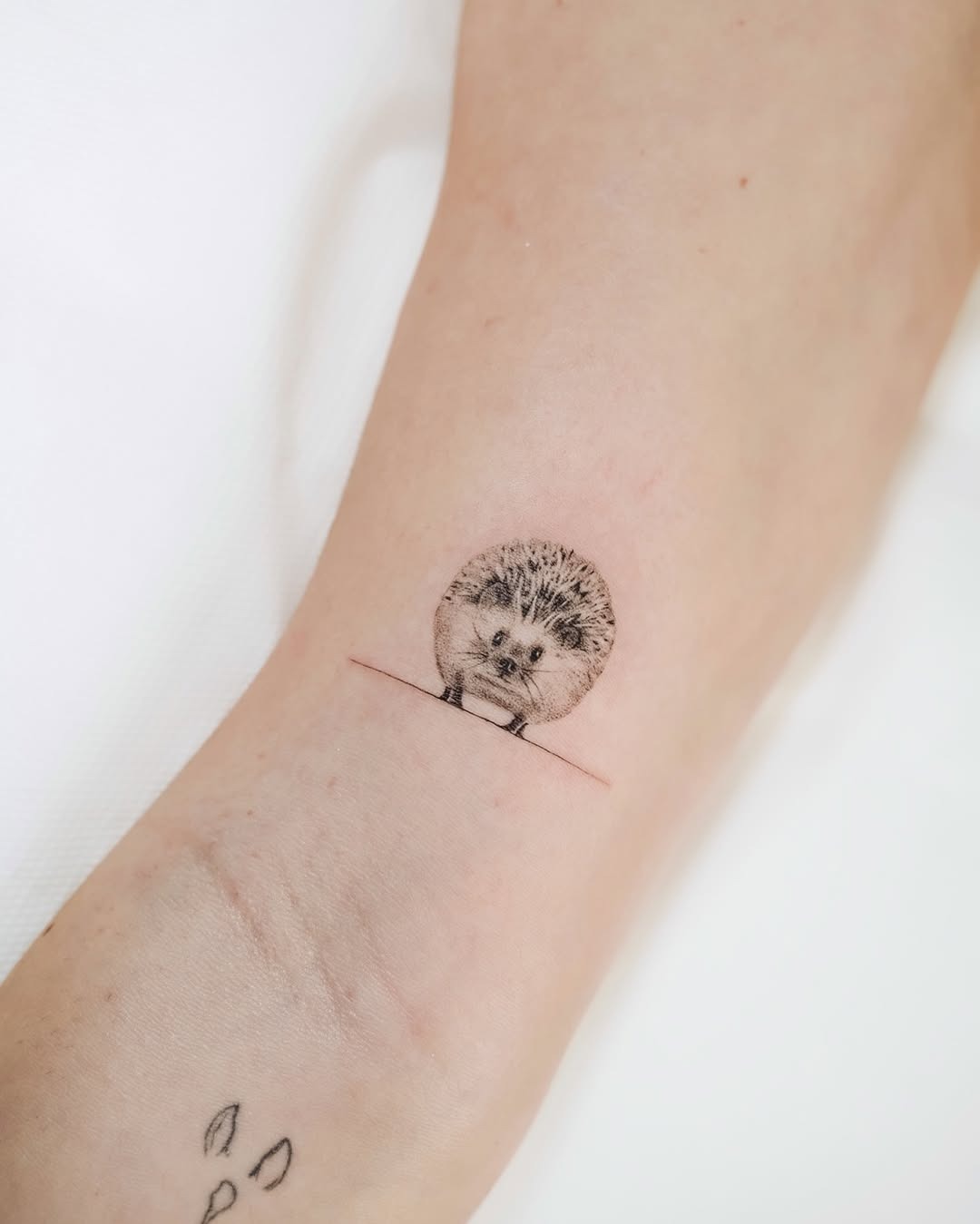 Charming minimalistic hedgehog tattoo inspiration Tattoo Design