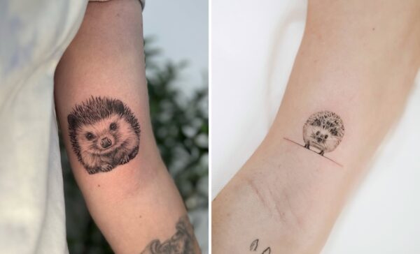 33 Hedgehog Tattoo Ideas: Whimsical Wildlife Ink & Cute Designs