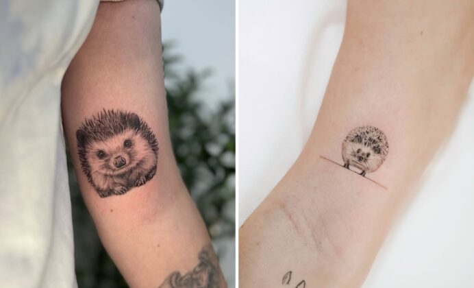 33 Hedgehog Tattoo Ideas: Whimsical Wildlife Ink & Cute Designs